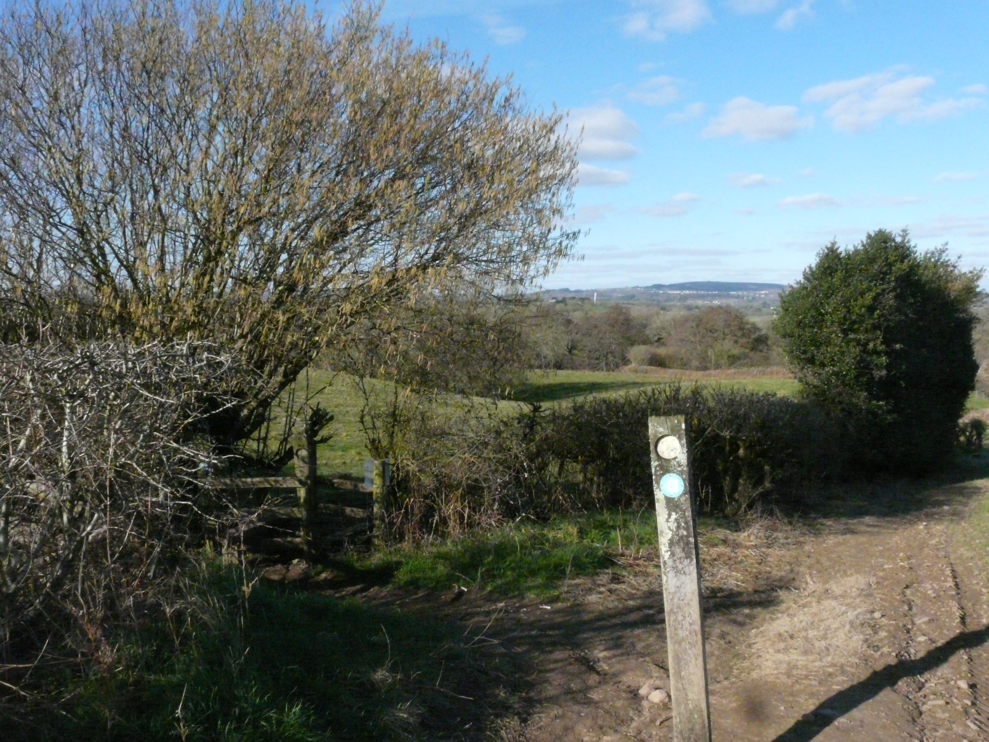 Path marker and stile